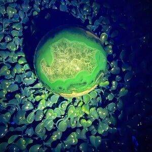 Volcano Agate Sphere *UV Reactive* 70mm